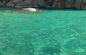 Sole e Sale - Foto 6