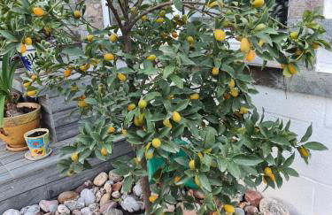 Casa Coqueta - Foto 11