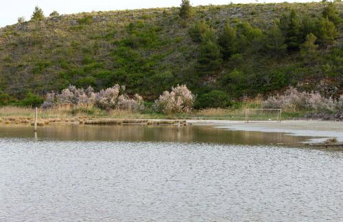 Family-friendly apartments with swimming pool Podgradina, Novigrad - 6198 - Photo 5