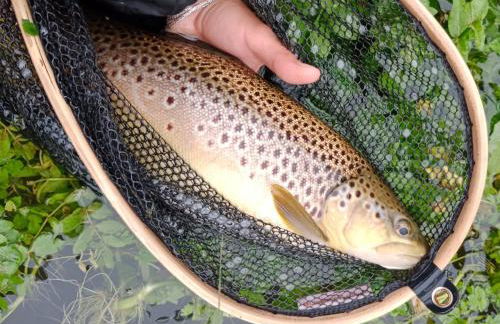 CASA PESCA VERA - Foto 48