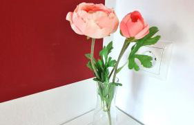 PONTUS Ferienwohnung FeWo 1 - Photo 11