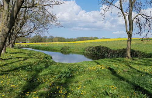 Gutshaus Thorstorf FeWo Poel - Foto 17
