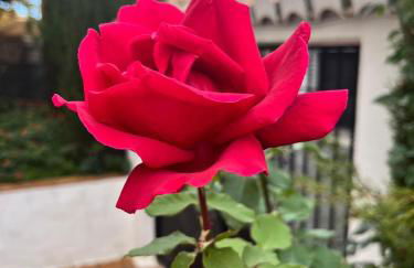 El Chalete - Photo 38