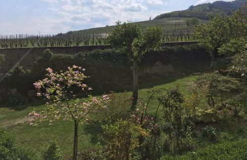 Beck Domaine du Rempart - Foto 18