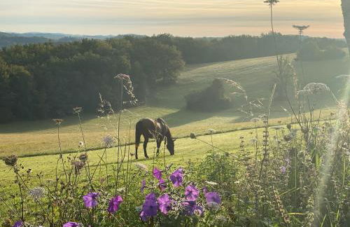 Domaine de Cazal - Gîte 2 pers avec piscine au cœur de 26 hectares de nature préservée - Foto 15