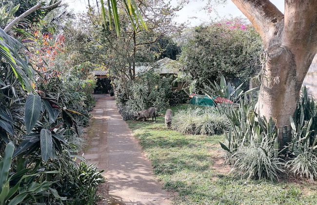 St Lucia Wilds - Foto 73