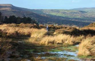 Spacious and bright 1 - bedroom rental unit - Photo 9