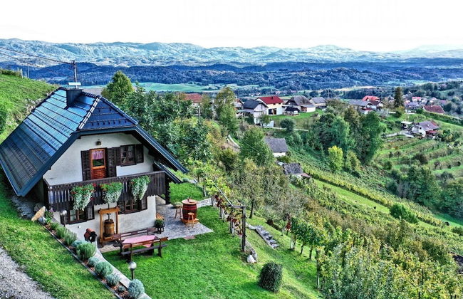 Vineyard cottage Podrzaj - Foto 10