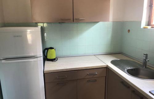 Oleander adria - Foto 17