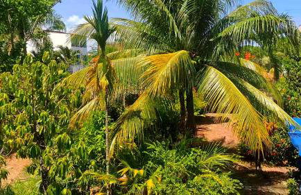 APARTAMENTO x 4 pessoas no VILLAGE DAIANE TAQUARY Guaibim Valença Bahia - Foto 7