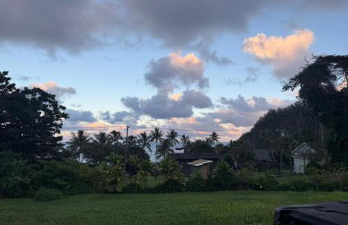 Hana Homestead - Foto 42
