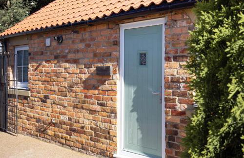 Chestnut - Ids - Foto 14