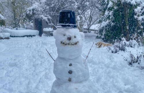 Bernhardsberg - Foto 46