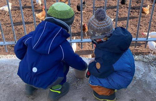 Ferienhof Roller - Foto 6