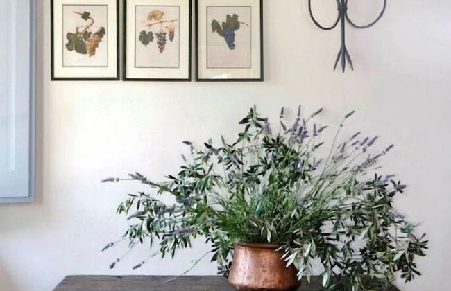 Agriturismo Pian del Tevere - Foto 18