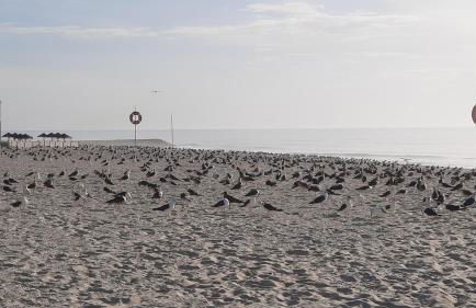 Villa do Lago - Foto 70