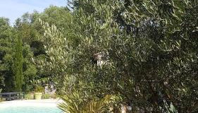 Bastide Cigaline - Foto 3, Internal: Not applicable to any particular room