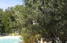 Bastide Cigaline - Foto 3