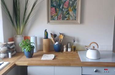 The Fuzzy Duck - Photo 11