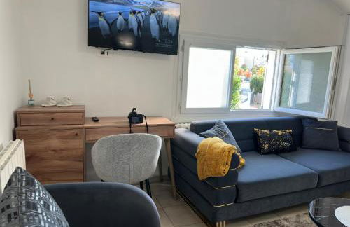 Jireh Loft Limeil Brévannes studio Privé - Foto 1