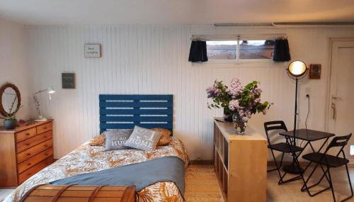 Studio de charme pour séjour tranquille à deux - Groupama Stadium - LDLC Aréna - Fiducial Astéria - Eurexpo - Aéroport St Exupéry - Base nautique du Grand Large - Foto 3