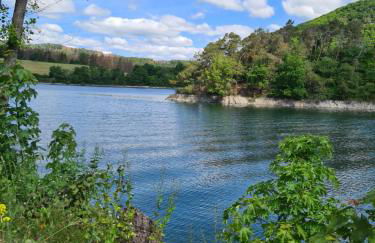 Panoramablick Willingen Schwalefeld - Foto 24