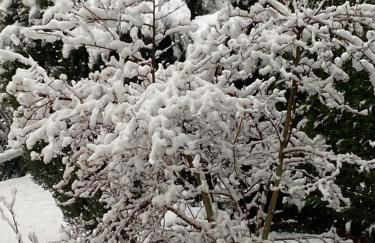 Casa Bosco - Photo 7