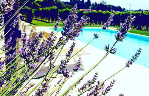 Residenza Eden - Foto 17