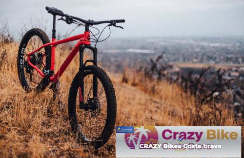 Villa Casa rústica de lujo en la COSTA BRAVA - 4 Bedrooms 8 PAX - Foto 36