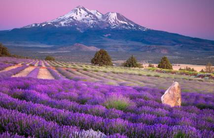 La Blanchère, vue golf - Foto 19