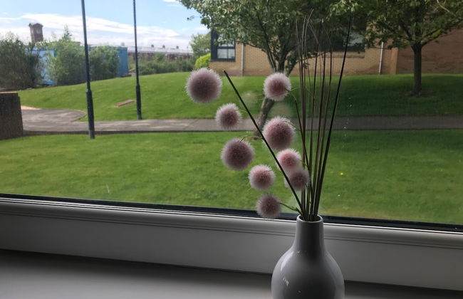 Walker Suite No60 - Donnini Apartments - Foto 12