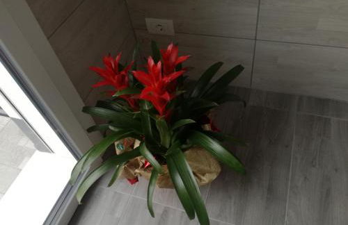 Alessietto - Foto 10