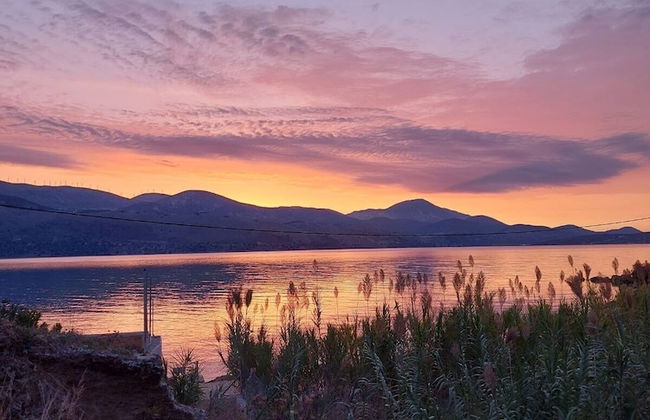 Apollonides Seafront Villa 1 “Aoede” - Photo 13