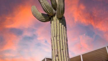 Old Whitmer Place Apache Junction - Foto 5