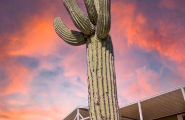 Old Whitmer Place Apache Junction - Foto 5