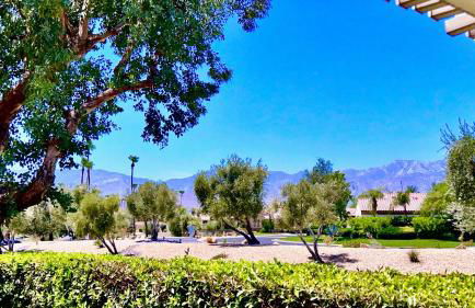 Courtside Contemporary - Foto 1