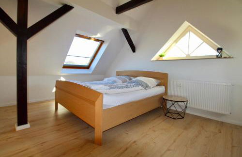 PATAMA Großdeuben - Natur & City im Leipziger Neuseenland zwischen Cospudner, Zwenkauer und Markkleeberger See, im Süden von Leipzig - Foto 13