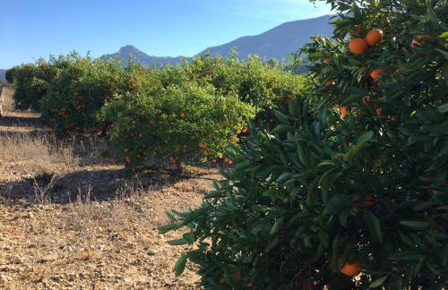 Casa La Vida, stijlvolle Spaanse villa met uniek uitzicht! - Foto 39