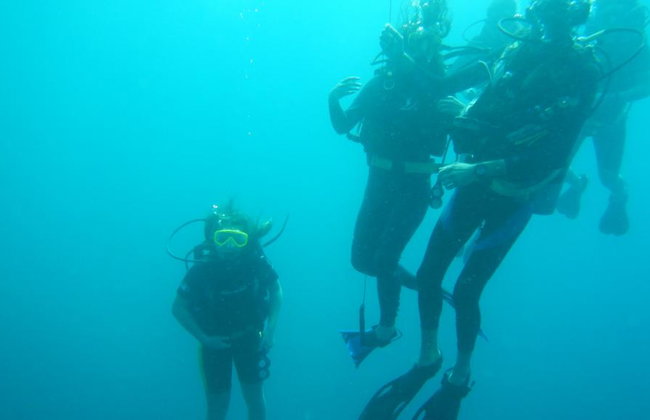 Beginner’s Dive: Your First Underwater Adventure - Photo 8