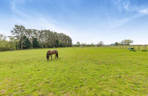 3 Bed in Longhorsley oc-d31795 - Foto 30