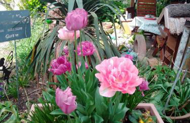 Gästehaus Brunhilde - Foto 35