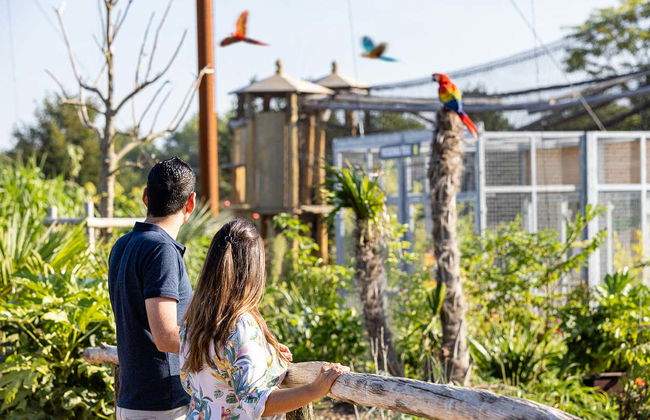 Biglietti per Parrot World - Foto 10