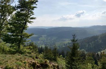 Ferienhaus Schulte - Villa Jupp und Apartment Liesl - Foto 33