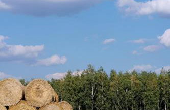 Harmonia Horyniec - Foto 51