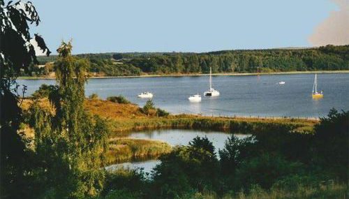 Ferienhaus-Spatzenvilla - Foto 3