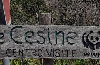 Villino Il melograno - Foto 41