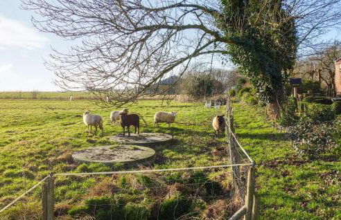 Gorgeous Apartment In Detern With Wifi - Foto 13