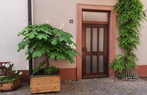 Alte Bahnhofstraße 12 - Foto 17