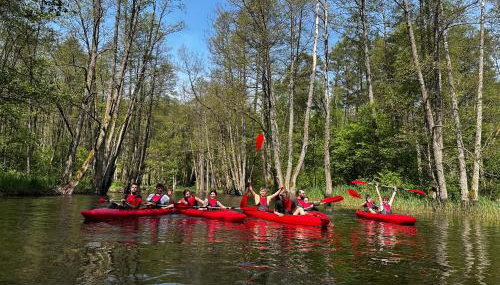 Domek nad Stawem - Foto 4