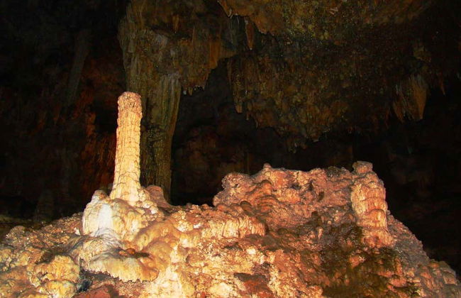 Escursione al Parque Ecoturístico Rancho Nuevo e a El Arcotete - Foto 2